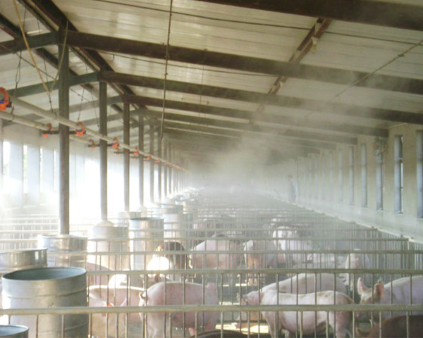 人工喷雾 人工喷雾